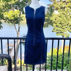 Venue Denim Dress